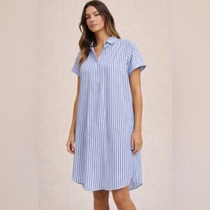 Blue and White Striped Shirt Dress